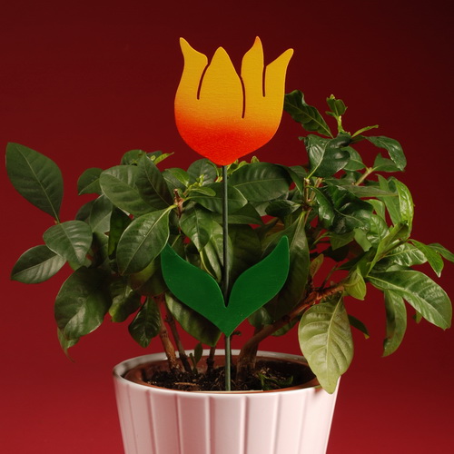 Zápich - Tulipán