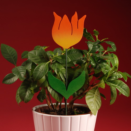 Zápich - Tulipán